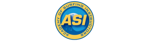 Home 3 Academy of surfing instructors - making waves social work